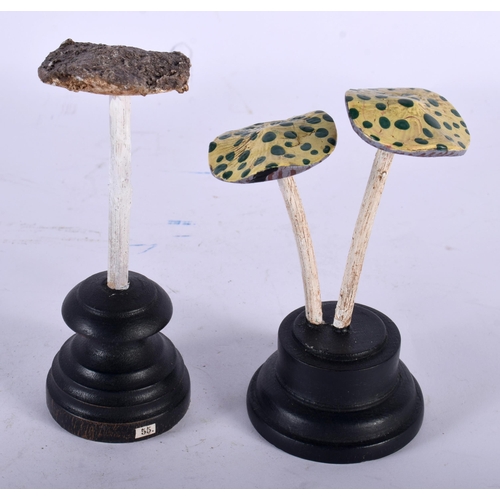 596 - TWO FOLK ART CARVED AND PAINTED WOOD MUSHROOM SPECIMENS. 13 cm high. (2)