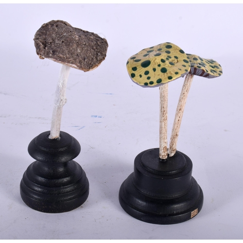 596 - TWO FOLK ART CARVED AND PAINTED WOOD MUSHROOM SPECIMENS. 13 cm high. (2)