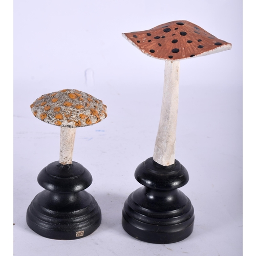 598 - TWO FOLK ART CARVED AND PAINTED WOOD MUSHROOM SPECIMENS. Largest 16 cm high. (2)