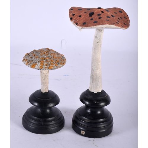 598 - TWO FOLK ART CARVED AND PAINTED WOOD MUSHROOM SPECIMENS. Largest 16 cm high. (2)