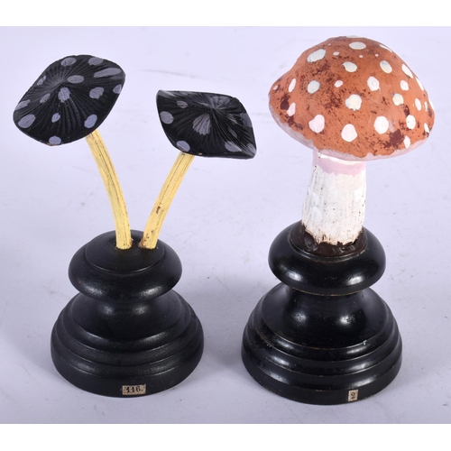 599 - TWO FOLK ART CARVED AND PAINTED WOOD MUSHROOM SPECIMENS. Largest 13 cm high. (2)