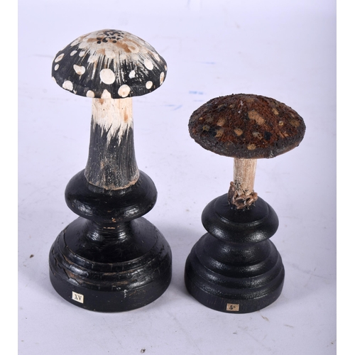 600 - TWO FOLK ART CARVED AND PAINTED WOOD MUSHROOM SPECIMENS. Largest 13 cm high. (2)