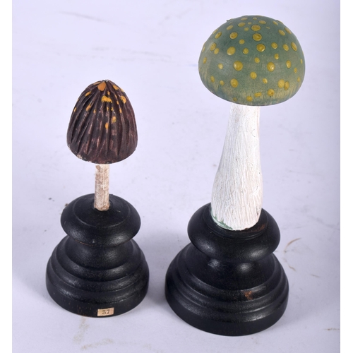 602 - TWO FOLK ART CARVED AND PAINTED WOOD MUSHROOM SPECIMENS. Largest 14 cm high. (2)