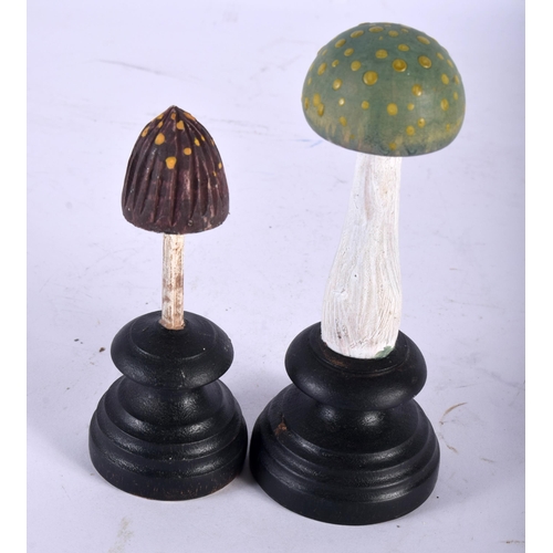 602 - TWO FOLK ART CARVED AND PAINTED WOOD MUSHROOM SPECIMENS. Largest 14 cm high. (2)