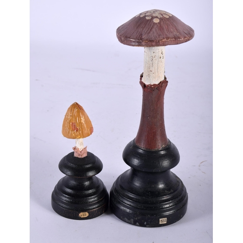 603 - TWO FOLK ART CARVED AND PAINTED WOOD MUSHROOM SPECIMENS. Largest 16 cm high. (2)