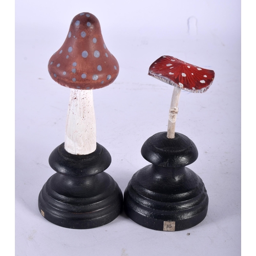 604 - TWO FOLK ART CARVED AND PAINTED WOOD MUSHROOM SPECIMENS. Largest 14 cm high. (2)