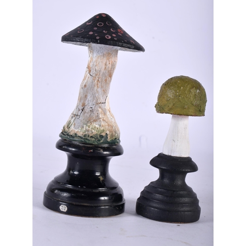 605 - TWO FOLK ART CARVED AND PAINTED WOOD MUSHROOM SPECIMENS. Largest 14 cm high. (2)