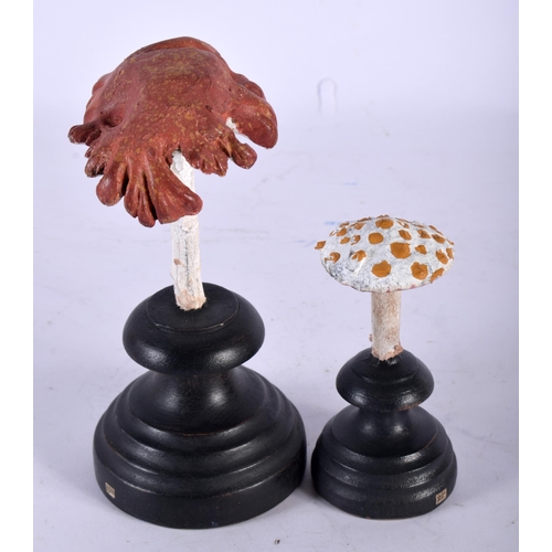 607 - TWO FOLK ART CARVED AND PAINTED WOOD MUSHROOM SPECIMENS. Largest 11 cm high. (2)