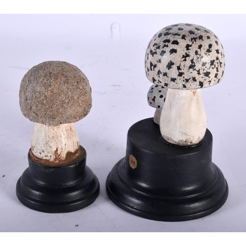 608 - TWO FOLK ART CARVED AND PAINTED WOOD MUSHROOM SPECIMENS. Largest 11 cm high. (2)