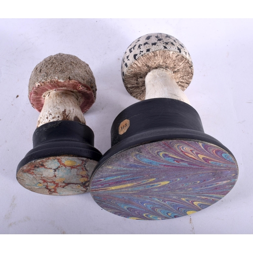 608 - TWO FOLK ART CARVED AND PAINTED WOOD MUSHROOM SPECIMENS. Largest 11 cm high. (2)