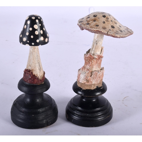 609 - TWO FOLK ART CARVED AND PAINTED WOOD MUSHROOM SPECIMENS. Largest 13 cm high. (2)