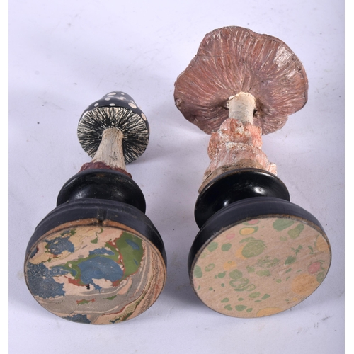 609 - TWO FOLK ART CARVED AND PAINTED WOOD MUSHROOM SPECIMENS. Largest 13 cm high. (2)