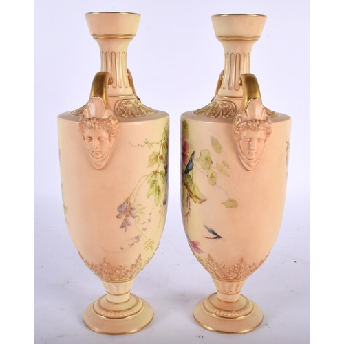 613 - A LARGE PAIR OF ANTIQUE TWIN HANDLED ROYAL WORCESTER BLUSH IVORY VASES painted with flowers and inse... 