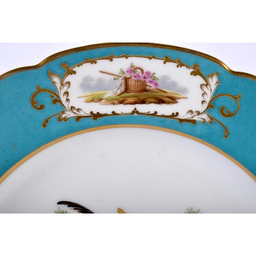 620 - AN EARLY 19TH CENTURY COALPORT PORCELAIN EXOTIC BIRD PLATE within a turquoise banding. 22 cm wide.