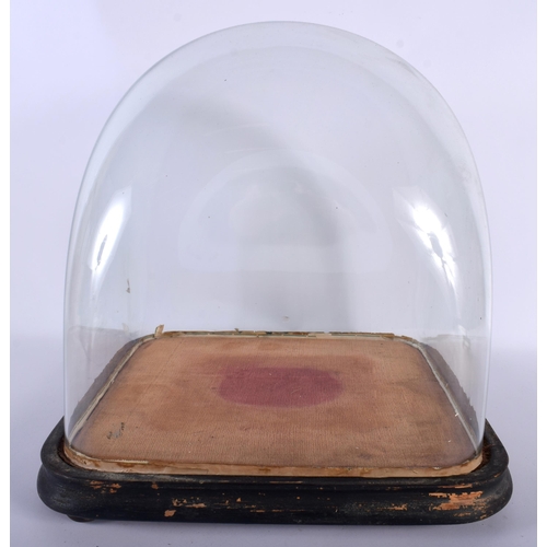 657 - A VICTORIAN GLASS DOME together with a brass easel frame. Largest 34 cm x 28 cm. (2)