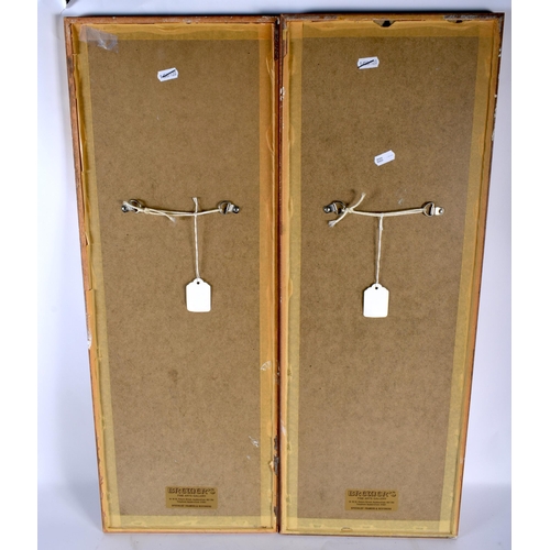 667 - A PAIR OF CHINESE FRAMED PICTURES 20th Century. 70 cm x 25 cm.