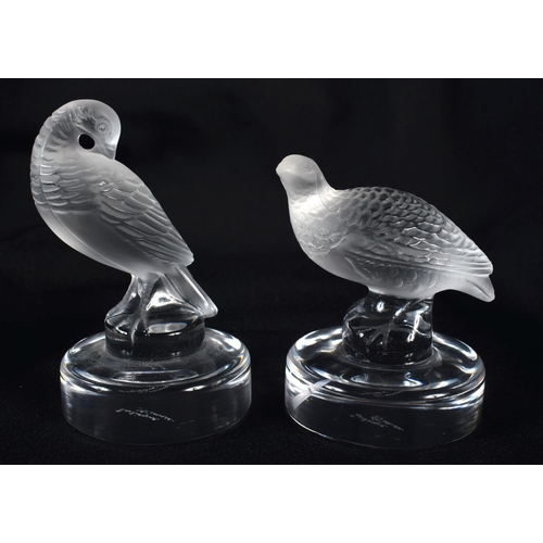 701 - TWO FRENCH LALIQUE GLASS BIRDS. 9.5 cm high. (2)