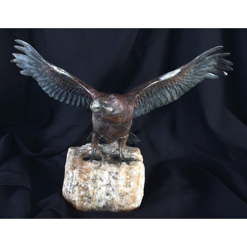 703 - AN ANTIQUE AUSTRIAN COLD PAINTED BRONZE FIGURE OF A BIRD upon a stone base. 32 cm wide.