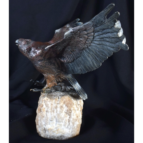 703 - AN ANTIQUE AUSTRIAN COLD PAINTED BRONZE FIGURE OF A BIRD upon a stone base. 32 cm wide.