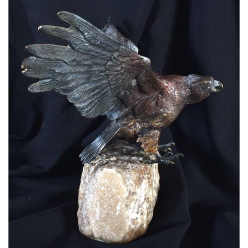 703 - AN ANTIQUE AUSTRIAN COLD PAINTED BRONZE FIGURE OF A BIRD upon a stone base. 32 cm wide.