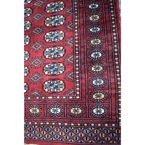 3037 - A Bokhara rug 151 x 93 cm