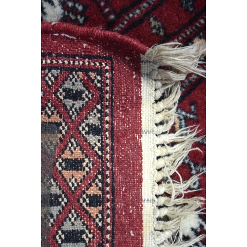 3037 - A Bokhara rug 151 x 93 cm