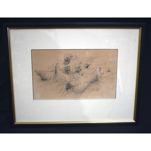 3193 - A small framed ink drawing depicting chickens signed indistinctly 14 X 23cm.