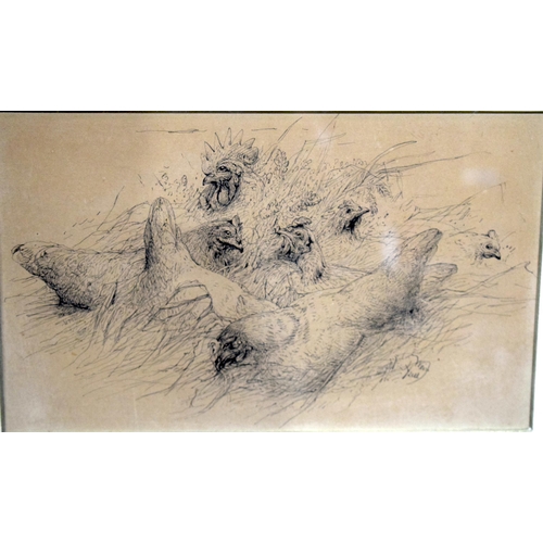 3193 - A small framed ink drawing depicting chickens signed indistinctly 14 X 23cm.