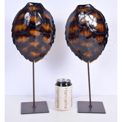 3374 - A pair of Turtle shell sculptures on stands 41 cm