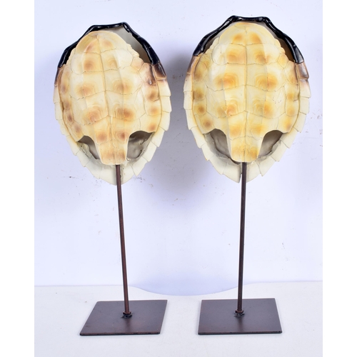 3374 - A pair of Turtle shell sculptures on stands 41 cm