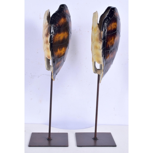 3374 - A pair of Turtle shell sculptures on stands 41 cm