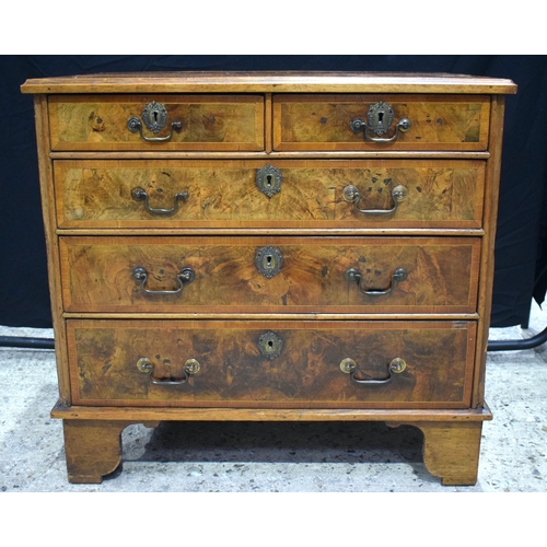 3545 - A George III mahogany and Burr 5 drawer chest 79 x 85 x 55 cm.