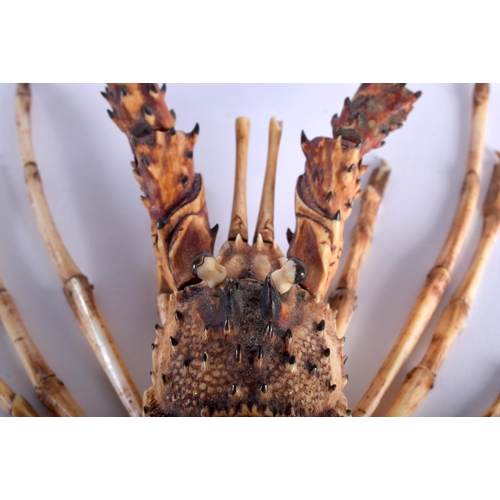 30B - A LOVELY 19TH CENTURY JAPANESE MEIJI PERIOD FULLY ARTICULATED BONE JIZAI OKIMONO CRAYFISH modelled a... 