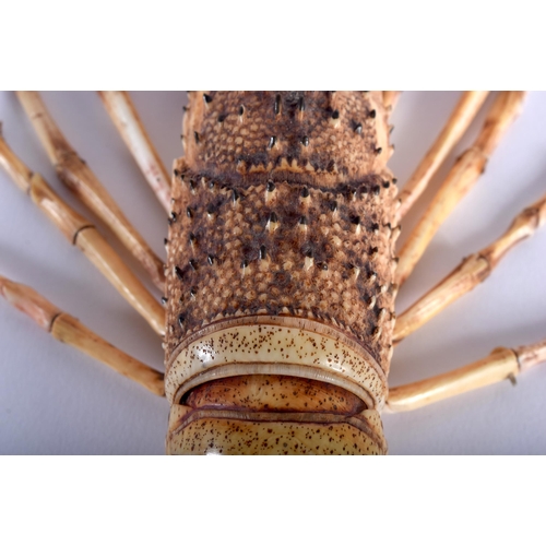 30B - A LOVELY 19TH CENTURY JAPANESE MEIJI PERIOD FULLY ARTICULATED BONE JIZAI OKIMONO CRAYFISH modelled a... 