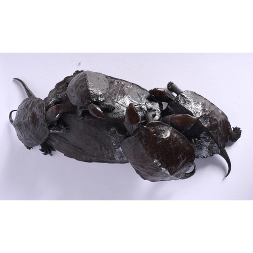 30E - A FINE 19TH CENTURY JAPANESE MEIJI PERIOD BRONZE TURTLES OKIMONO C1900 modelled as young adults clam... 