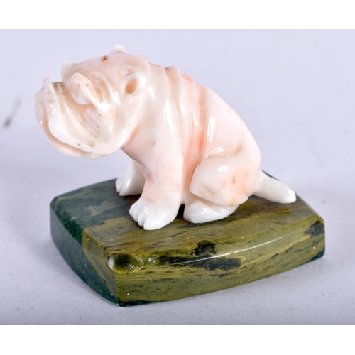 463 - AN ART DECO CARVED PALE RED CORAL FIGURE OF A BULLDOG. 4.5 cm x 4 cm.