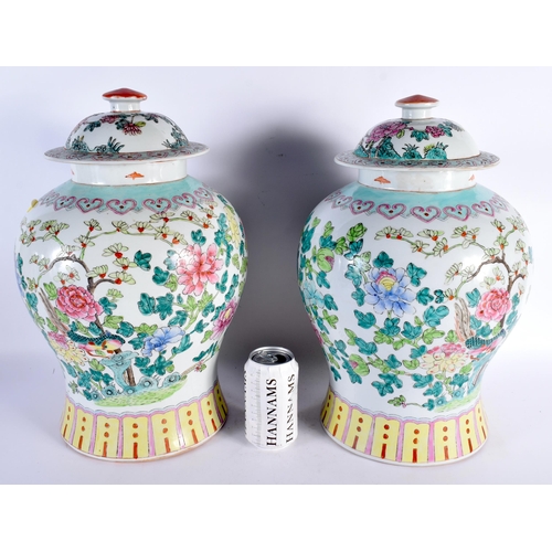 590 - A LARGE PAIR OF CHINESE REPUBLICAN PERIOD FAMILLE ROSE PORCELAIN JARS AND COVERS painted with phoeni... 