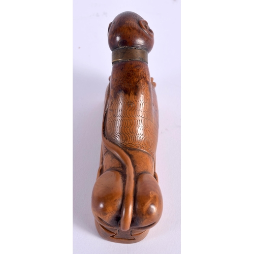 607 - A LOVELY 18TH CENTURY CARVED TREEN WOOD SNUFF BOX modelled as a seated hound with glass eyes and bra... 