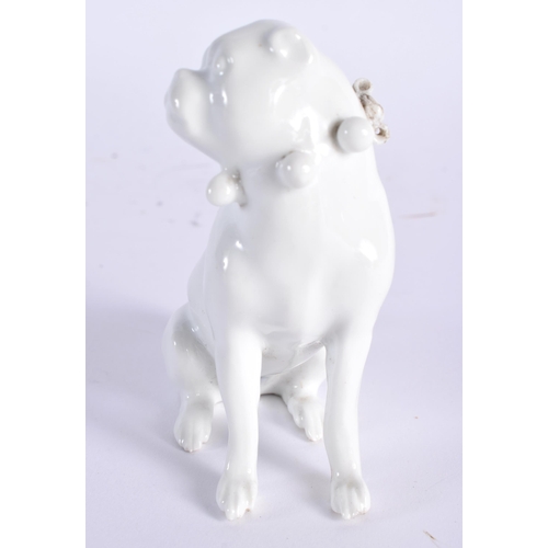 615 - A 19TH CENTURY MEISSEN BLANC DE CHINE PORCELAIN FIGURE OF A PUG DOG modelled seated upon its hind le... 