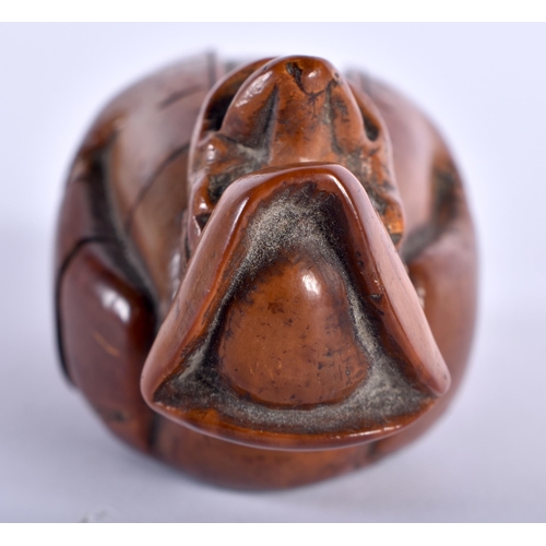 86 - AN 18TH CENTURY FRENCH CARVED COQUILLA NUT SNUFF BOX modelled as a big nosed male wearing a tricorn ... 