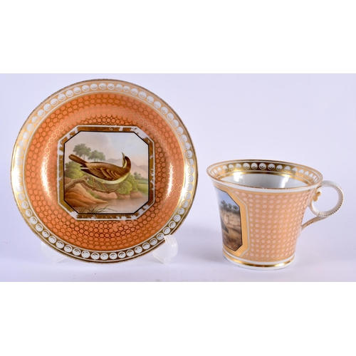 16 - AN EARLY 19TH CENTURY CHAMBERLAINS WORCESTER CUP AND SAUCER painted with a Willon Wren & another bir... 