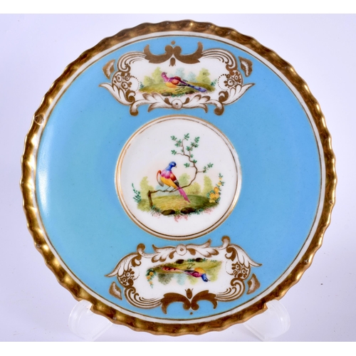 17 - AN EARLY 19TH CENTURY CHAMBERLAINS WORCESTER CUP AND SAUCER painted with birds within gilt cartouche... 