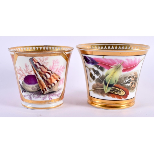 18 - TWO EARLY 19TH CENTURY CHAMBERLAINS WORCESTER CUPS painted with shell studies in the Manner of Thoma... 