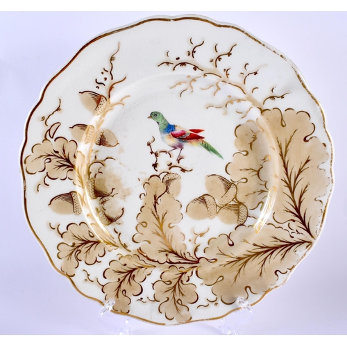 23 - AN UNUSUAL MID 19TH CENTURY CHAMBERLAINS WORCESTER PLATE painted with a bird amongst acorns and leav... 