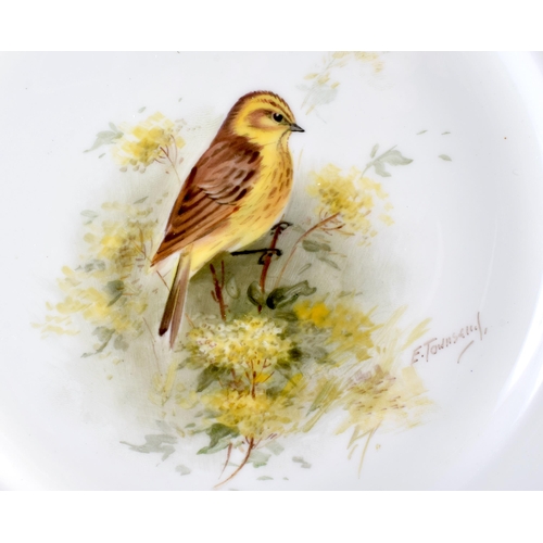 34 - A PAIR OF ROYAL WORCESTER PORCELAIN ORNATHOLOGICAL PLATES by Townsend, painted with a Yellow bunting... 