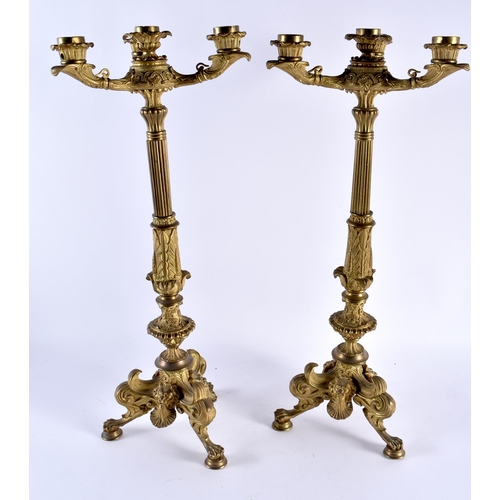 408 - A LARGE PAIR OF 19TH CENTURY EUROPEAN GILT BRONZE CANDLEABRA formed with acanthus capped columns, up... 