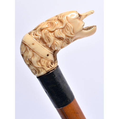 409 - A MIXED WOOD CONTINENTAL WALKING CANE together with an Antique silver collared dog head cane. 90 cm ... 