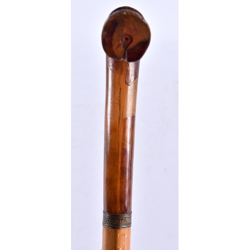 428 - A 19TH CENTURY MIDDLE EASTERN CARVED HORN OR AMBER HANDLED HORSE HOOF WALKING CANE. 90 cm long.