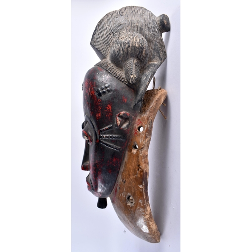 461 - TWO AFRICAN IVORY COAST TRIBAL RED PAINTED GURO WOOD MASKS. Largest 44 cm x 15 cm. (2)