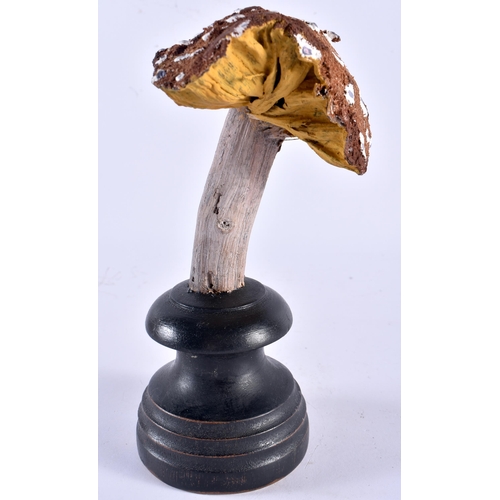 539 - AN UNUSUAL CARVED FOLK ART PAINTED WOOD MUSHROOM SPECIMAN. 19 cm high.